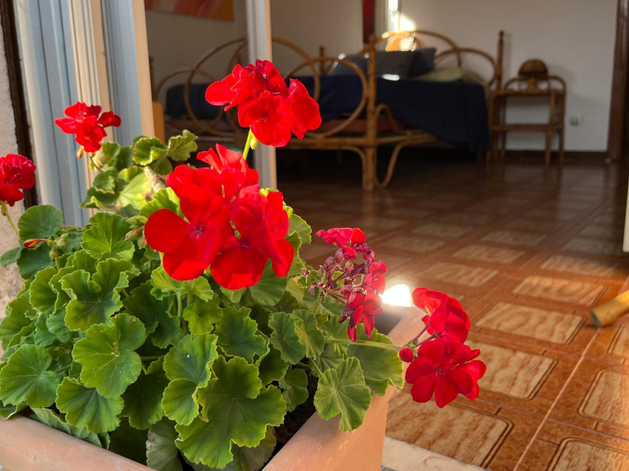 Appartamento A casa di Mara Mondello Esterno foto