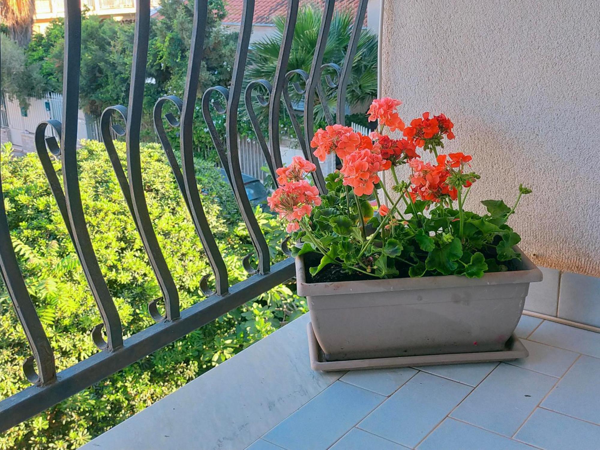 Appartamento A casa di Mara Mondello Esterno foto